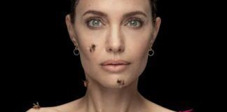 angelina jolie abejas